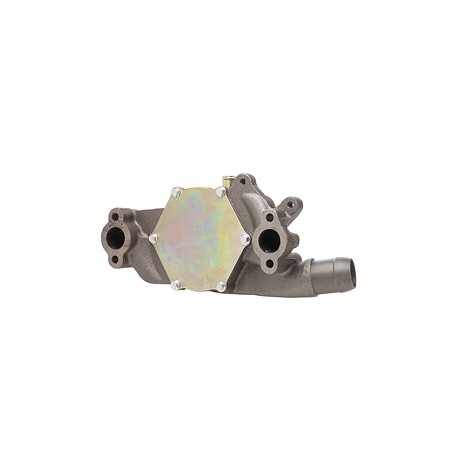 Dayco Water Pump, Dp1019 DP1019